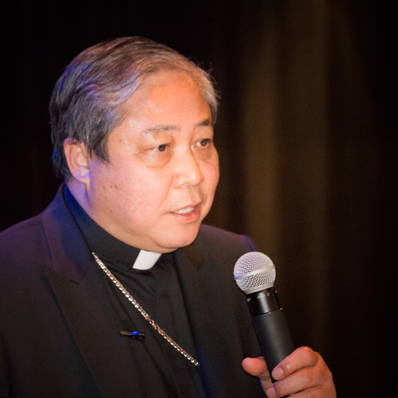 Archbishop auza imagines the Pontiff will urge the public to care for the environment in light of his Encyclical Laudate Si</em>